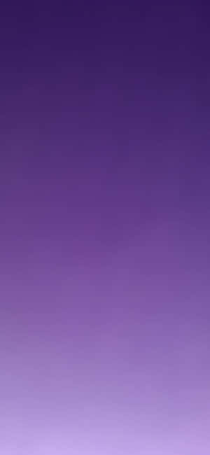 Fundal gradient violet — Honor 500 Pro Fundal