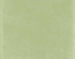 Fundal estetic verde salvie senin — Șerlui verde salvie Fundal
