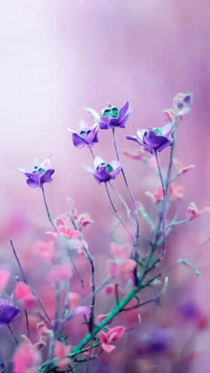 Fundal Floral Roz