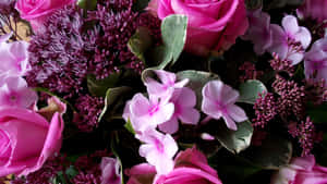 Fundal Floral Roz