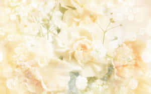 Fundal galben pastel — Galben pastel Fundal