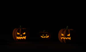 Fundal cu dovleci de Halloween — Halloween GIF Fundal