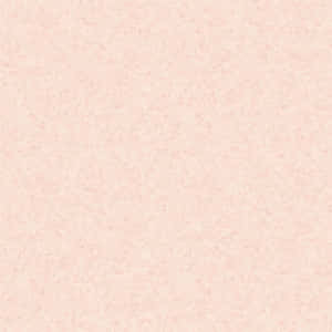 Blush Pink Background — iPad (A16) Fundal
