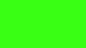 Fundal verde neon — Verde neon Fundal