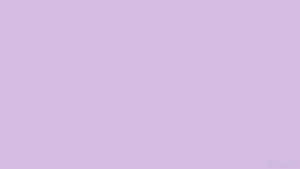 Fundal violet pastel — Mov pastel violet Fundal
