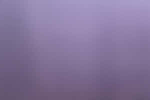 Fundal violet simplu — MacBook Air M3 Fundal