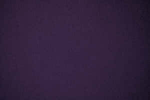 Fundal violet simplu — MacBook Pro M2 Fundal