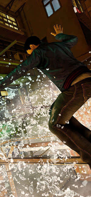 Fundal Sleeping Dogs pentru iPhone XS — Câini adormiți Fundal