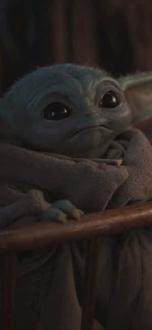 Fundal Zoom Baby Yoda — Zenfone Fundal