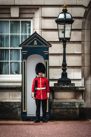 Garda Regală de la Palatul Buckingham — Huawei MatePad Air (2026) Fundal