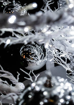 White Tree Silver Ball wallpaper. — OnePlus Pad Fundal
