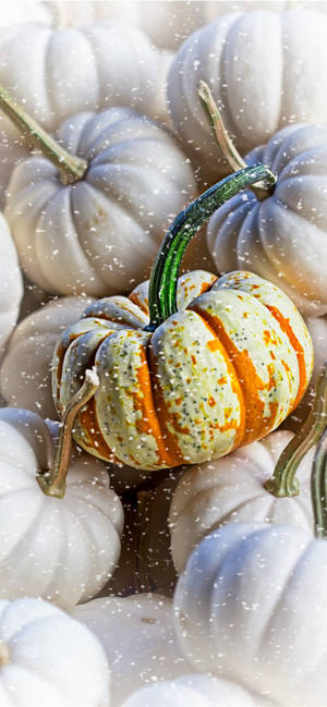 O Grămadă De Dovleci Thanksgiving iPhone — iPhone Xs Fundal