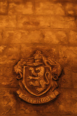 Harry Potter Estetică Sigla Gryffindor — Harry potter estetic Fundal