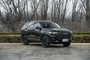 Haval's Stylish SUV Cruising down the Road — Surface Pro Fundal