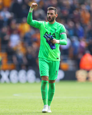 Hugo Lloris încurajare ușoară — Fotbal GIF Fundal