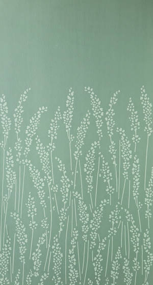 Iarbă decorativă verde deschis cu pene albe — Estetică verde deschis Fundal