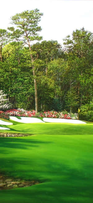 Fundal Teren Golf Iphone X — Samsung Galaxy S20 Fundal