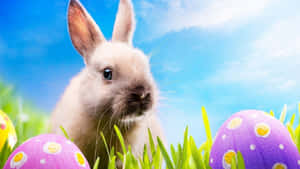 Iepuraș de Paște adorabil și ouă colorate pe un fundal festiv — Paște drăguț Fundal