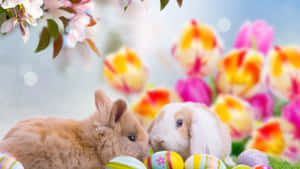 Iepurași de Paște adorabili și ouă colorate pe un fundal vibrant de primăvară — Paște drăguț Fundal