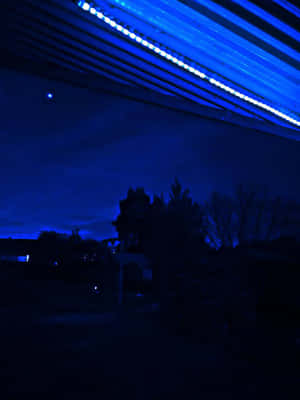Imagini Neon Aesthetic — Neon estetic Fundal