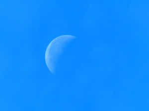Imagini cu luna — Neon lună Fundal