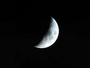 Imagini cu luna — Neon lună Fundal