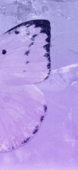 Aesthetic Purple Pictures — Honor Play Fundal