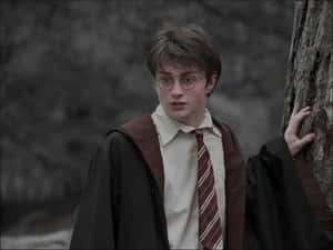 Imagini estetice Harry Potter — Estetic Harry Potter Fundal