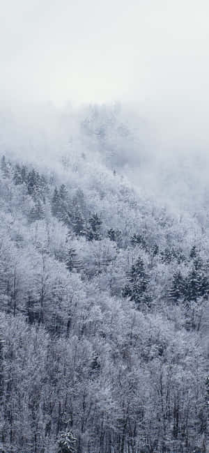 Snow Iphone — iPhone 18 Pro Max Fundal