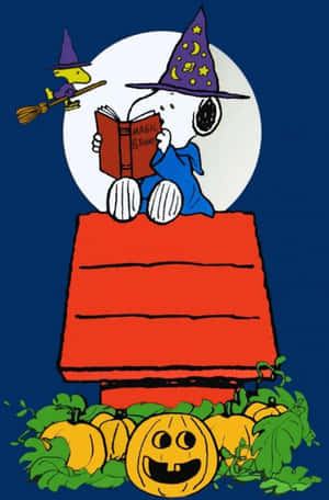 Imagini Charlie Brown de Halloween — Charlie brown halloween Fundal