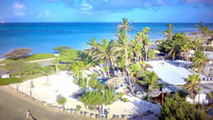 Imagini cu Plaja Aruba — Valuri oceanice Fundal