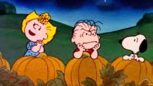 Imagini cu Charlie Brown de Halloween — Charlie Brown Halloween Fundal