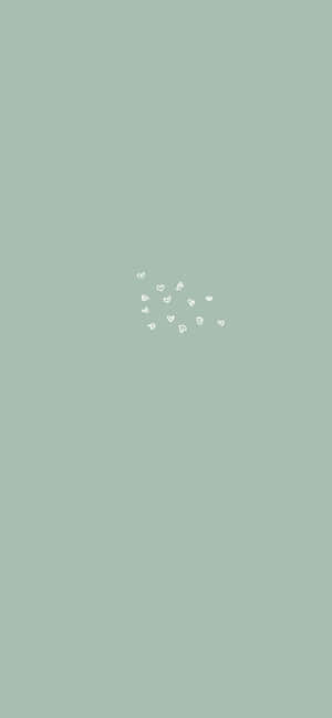 Imagini estetica Sage Green — iPhone 16e Fundal