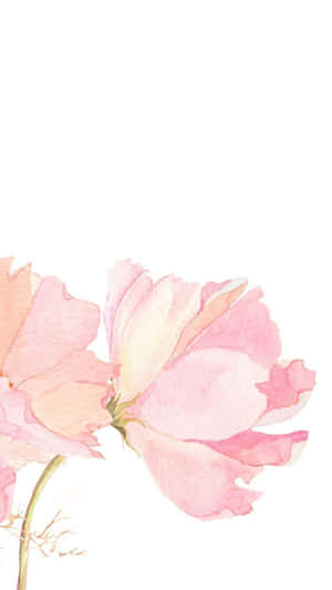 Roz Floral