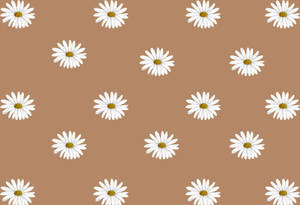 Tapet estetic floral bej-maro — Maro estetic GIF Fundal