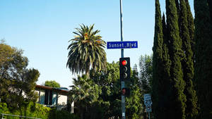 Sunset Boulevard Indicatorul Albastru wallpaper — Sunset Boulevard Fundal