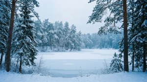 Pădure înzăpezdită și lac înghețat într-un peisaj de iarnă ultrawide.