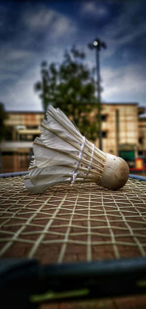 Fundal Badminton Android — POCO M8 Pro Fundal