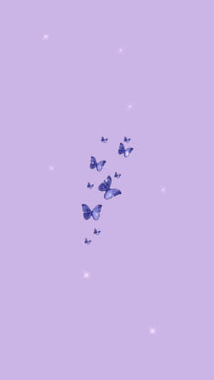 Fundal violet drăguț — Drăgut violet Fundal
