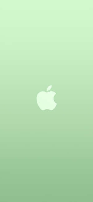 iPhone 11 Green — iPhone 13 Fundal
