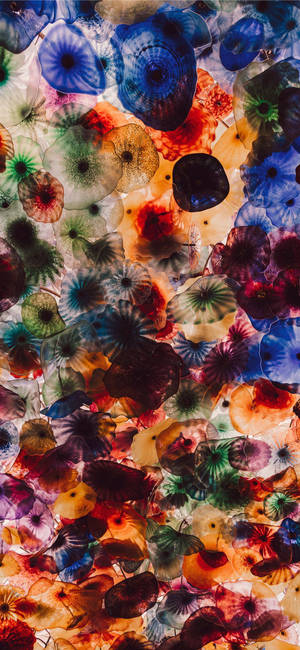 Fond de ecran IPHone 11 Pro Max Meduza Colorată — iPhone 11 Pro Max Fundal