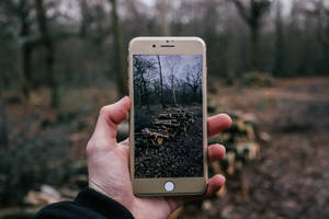persoană făcând o fotografie a unui foc de lemne cu iPhone — iPhone 8 Fundal