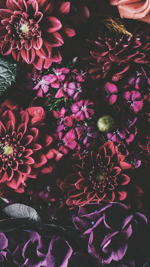 Iphone Xs Flori Wallpaper