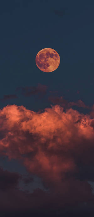 Iphone Xs Luna Wallpaper