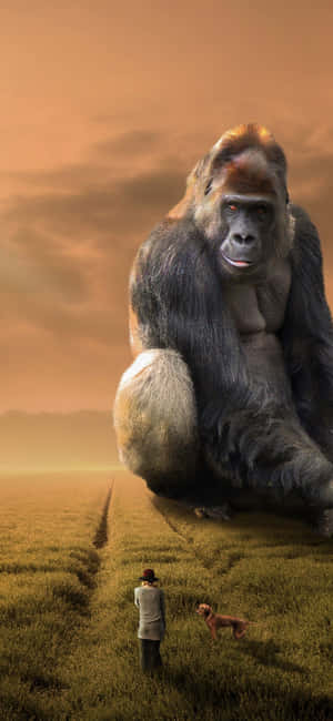 Iphone Xs Max Gorilla Background — Realme C Fundal