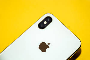 iPhone xs max pe galben wallpaper — iPhone XS Max Fundal