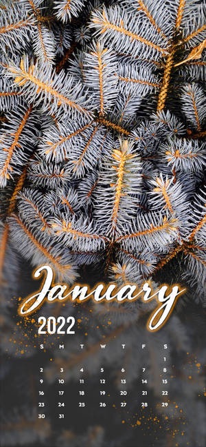 January 2022 white pine tree wallpaper — iPhone 16 Fundal
