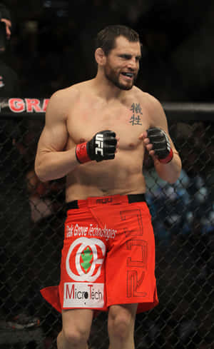 Jon Fitch în Octagon UFC 141 — Honor Pad Fundal