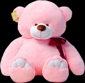 Teddy transparent PNG - Urs roz PNG, descărcare PNG — Urs drăguț Fundal