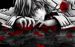 Kaname Kuran Anime Drăguț PFP Vampire Knight wallpaper — Pfp anime drăguț Fundal